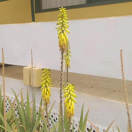 Caroni Apartment